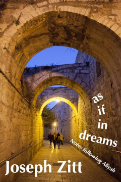 Cover of "as if in dreams" by Joseph Zitt