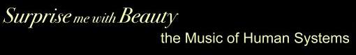 Surprise Me with Beauty: The Music of Human Systems